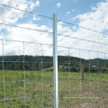 Hot Dipped Galvanized Farm Fence